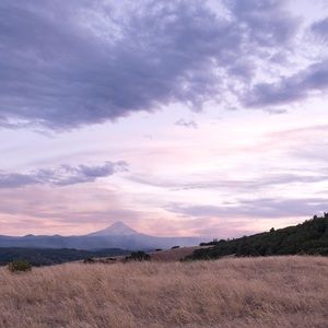 Meet your Posher, Kristi